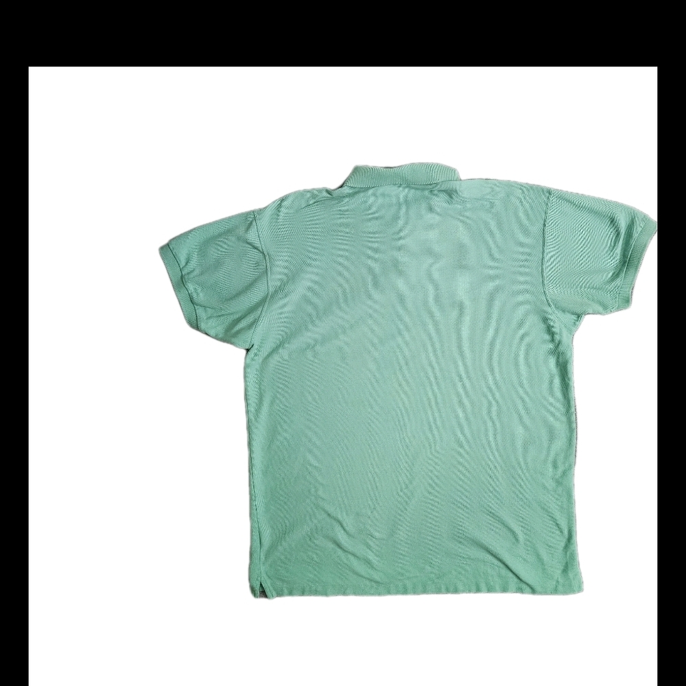 Vintage PATAGONIA  Mint Green Short Sleeve Preppy POLO Shirt  100% COTTON  Lg